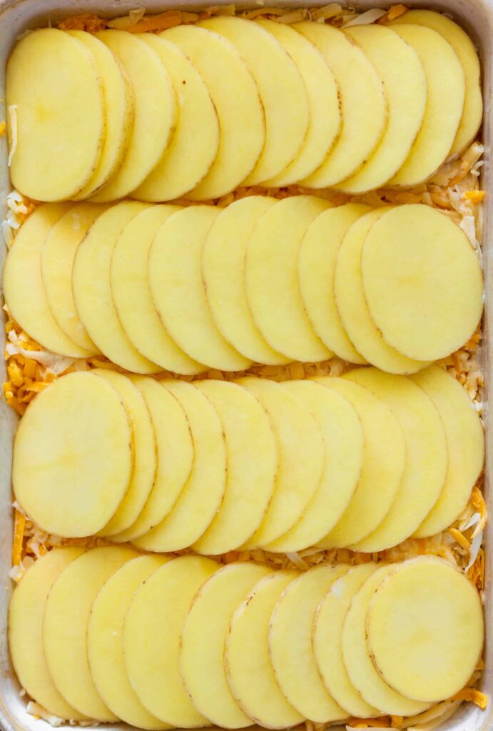 Layer 1 of Au Gratin Potatoes