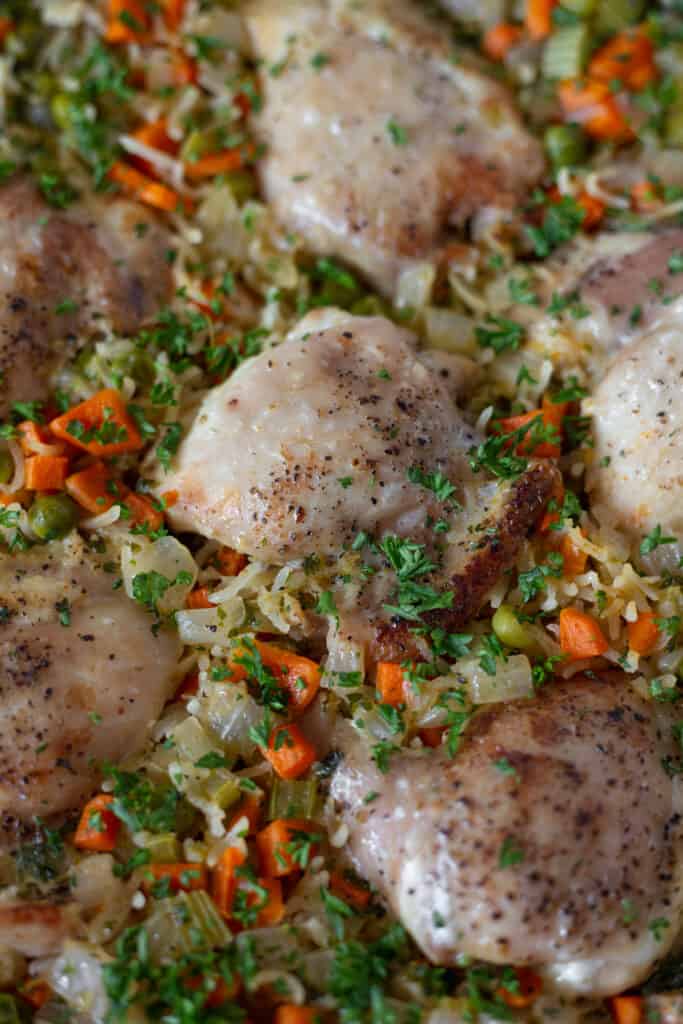 Close up of old fashioned chicken and rice