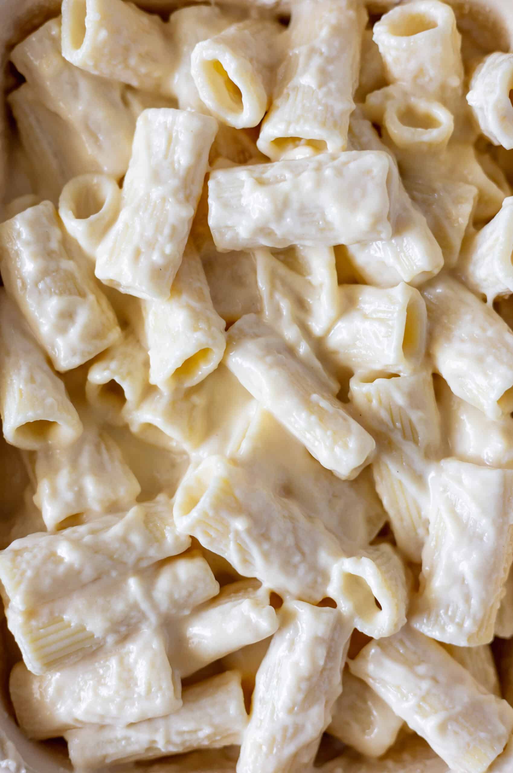 Creamy brie mac and cheese close up