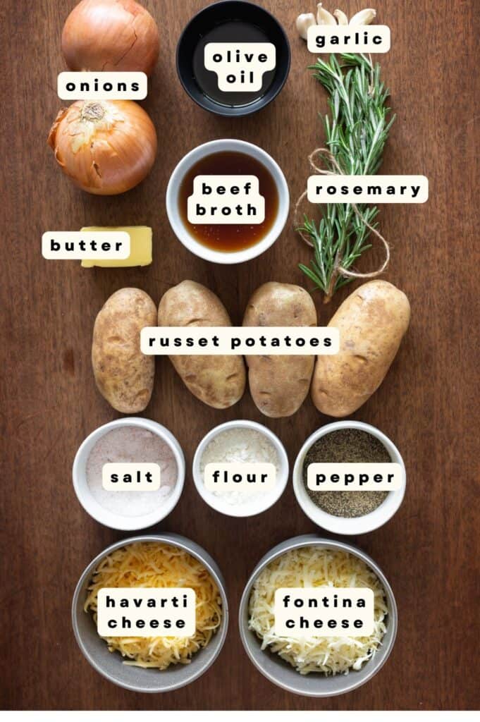 labeled ingredients for french onion fries